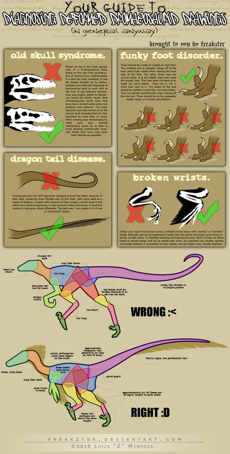 TUTORIAL:+how+to+draw+raptors+by+Freakzter.deviantart.com+on+@deviantART Dinosaur Sketch, Dinosaur Drawing, Paleo Art, Types Of Animals, Creature Drawings, Dinosaur Art, Prehistoric Animals, Poses References, Creature Concept Art