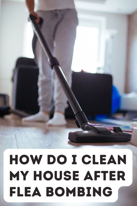 You had a case of the dreaded fleas, you used a flea bomb and success! Now how do you get rid of the residue the flea bomb left? How To Get Fleas Out Of House, Flea Bomb, Clean My House, Me Clean, Vacuum Cleaner, Home Appliances