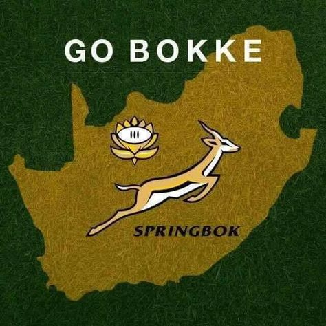 Go bokke Springboks Rugby South Africa Wallpaper, Springbok Rugby Wallpaper, Springboks Rugby South Africa, South Africa Party, Rugby Wallpaper, Rugby Quotes, Go Bokke, Africa Party, South African Rugby