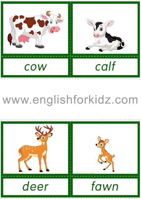 Animals and their young ones. Printable ESL flashcards Reading Flashcards, Animals And Their Babies, Mother And Baby Animals, Help Kids Focus, Baby Animal Names, Improve Reading Skills, Teach English To Kids, Hindi Alphabet, Reading Comprehension Kindergarten