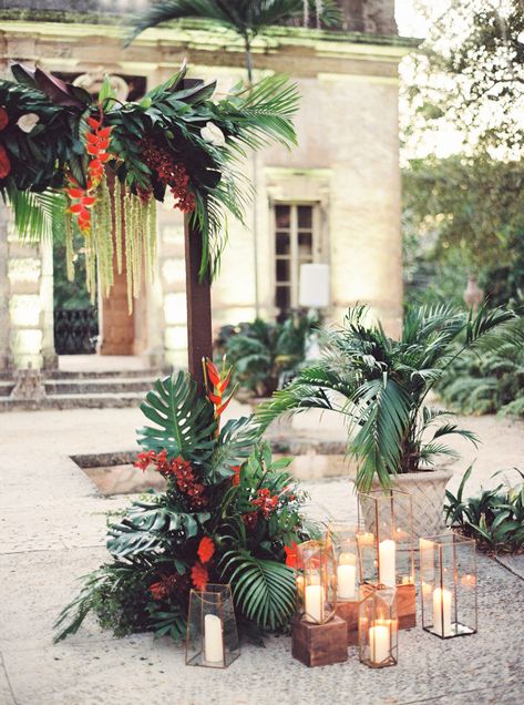 Not Your Typical Tropical Wedding with a Color Scheme That's Sure to Surprise! Jewel Tone Tropical Wedding, Tropical Wedding Backdrop Ideas, Tropical Wedding Alter, Spring Tropical Wedding, Red Tropical Wedding, Moody Tropical Wedding, Green Tropical Wedding, Tropical Wedding Party, Tropical Wedding Arch