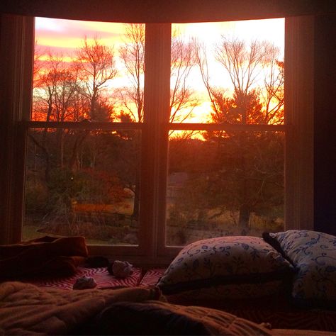 The prettiest sunset I have ever seen Sunset Through Window, Prettiest Sunset, Sunset Window, An Open Window, Autumn Sunset, Fall Bedroom, Bedroom Views, Orange Aesthetic, Window View