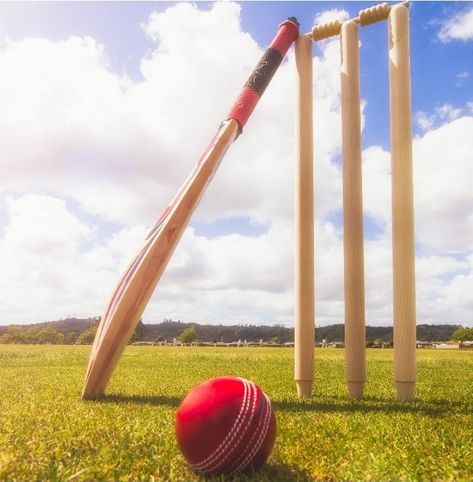 Bat And Ball, Cricket Player, Cricket Wicket, Cricket Games, Cricket Wallpapers, Grand Prairie, Cricket Team, Full House, Instagram And Snapchat