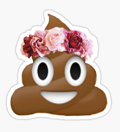 Pegatina corona de flores caca emoji hipster tumblr Iphone Png, Tumblr Png, Crown Png, Hamster Treats, Toddler Art Projects, Poop Emoji, Homemade Cat, Tumblr Stickers, Hydroflask Stickers