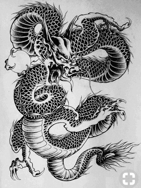 Dragon Anatomy Drawing, Dragon Tattoo Outline, Dragon Tattoo Stencil, Tattoos And Their Meanings, Asian Dragon Tattoo, Dragon Anatomy, Dragon Painting, Butterfly Hand Tattoo, Dragon Tattoo Art