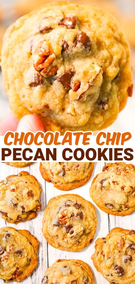 Chocolate Chip Cookies With Pecans Recipe, Oatmeal Chocolate Chip Pecan Cookies, Choc Chip Pecan Cookies, Chocolate Chop Cookies, Chocolate Chip Pecan Cookies Recipe, Oatmeal Coconut Pecan Cookies, Semi Sweet Chocolate Chip Recipes, Pecan Cookies Recipes, Chocolate Chip And Pecan Cookies