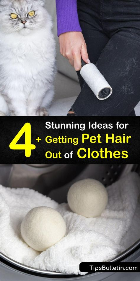 Dog Play Ideas, Dryer Lint Trap, Dog Hair Cleaning, Pet Hair Dryer, Dog Hair Removal, Hair Trap, Cat Hair Removal, Fabric Softener Sheets, Closet Bed