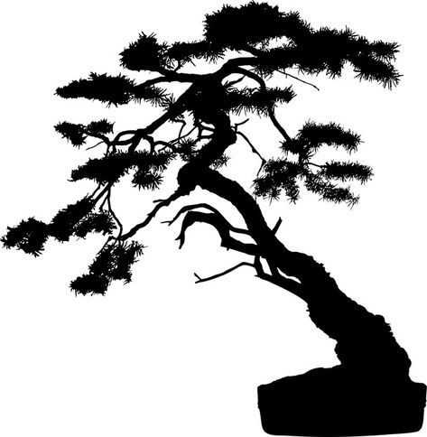 Download this free vector of Bonsai Tree Plant Silhouette from Pixabay's vast library of royalty-free stock images, videos and music. Plant Silhouette, Cactus Cartoon, Garden Huts, Tree Outline, Palm Tree Plant, Framed Leaves, Coconut Palm Tree, Watercolor Tree, Bonsai Plants