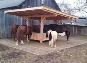 Hay Hut, Hay Feeder For Horses, Paddock Trail, Horse Feeder, Horse Paddock, Horse Farm Ideas, Horse Hay, Horse Barn Ideas Stables, Paddock Paradise