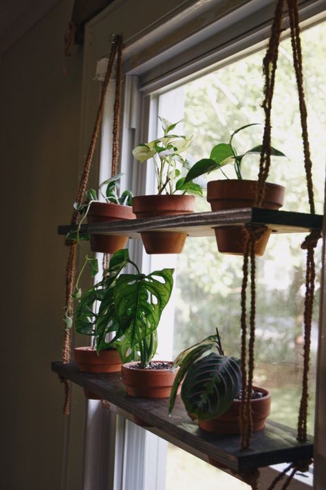 DIY Hanging Plant Shelf - Living the Gray Life Diy Plant Shelf, Window Shelf For Plants, Hanging Plant Shelf, Pallet Deck Diy, Window Plant Shelf, Pot Gantung, Diy Hanging Planter, Hanging Herbs, Plant Window