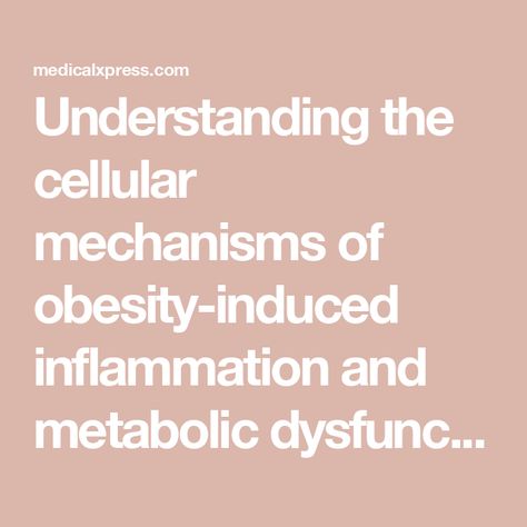 Understanding the cellular mechanisms of obesity-induced inflammation and metabolic dysfunction Cellular Inflammation, Metabolic Health, The Mechanisms, Metabolic Disorders, Pulmonary Disease, Adipose Tissue, High Fat Diet, Chronic Inflammation, Circadian Rhythm