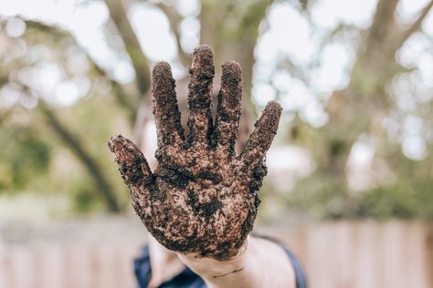 Whip up a plate of norstalgia with Milo Mouse's Magical Mud Pie. It's a great way to get your little one's hands dirty and reap the benefits of getting outside! Get the recipe on our website. Mud Pie Aesthetic, Gross Things, Garlic Festival, Getting Outside, Growing Pains, Confidence Kids, Wild Garlic, Ghost Boy, Spring Family