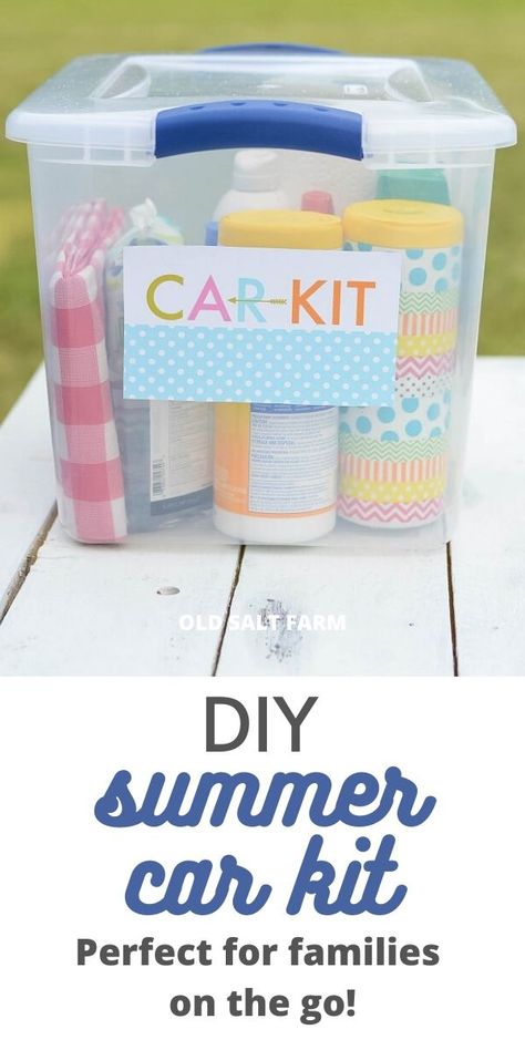 Summer Survival Kit, Babysitting Ideas, Summer Car, Clorox Wipes, Car Emergency Kit, Family Projects, Survival Items, Car Organization, Car Essentials