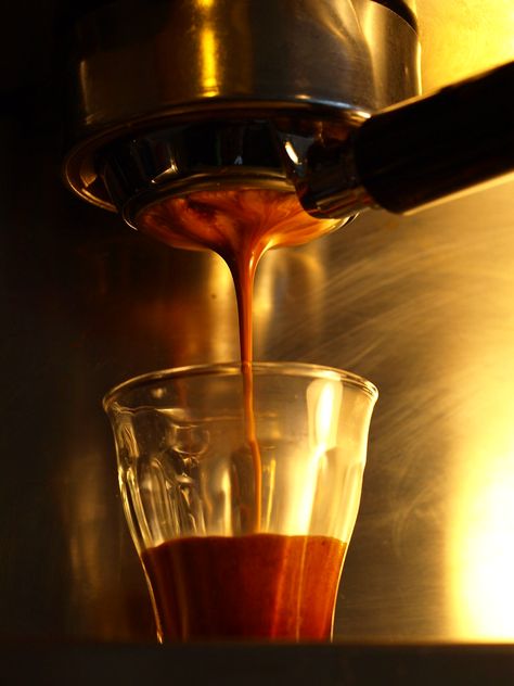 Naked portafilter espresso shot 12 | SJHOOOO | Flickr French Presses, Espresso Shot, Coffee Makers, Espresso Machines, Cup Of Joe, Have You Ever, A Coffee, Espresso, Coffee Tea