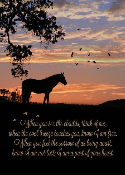 Horse Poems, Horse Memory, Spiritual Poems, Horse Beautiful, Inspirational Horse Quotes, Horse Riding Quotes, Equestrian Quotes, Cowboy Quotes, Horse Memorial