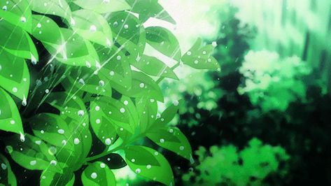 Green Anime Background Gif, Aesthetic Green Gif Banner, Green Aesthetic Discord Banner Gif, Green Aesthetic Header Gif, Clover Banner Discord, Green Gifs Aesthetic Png, Dark Green Discord Banner Gif, Green Anime Aesthetic Gif, Light Green Banner Gif