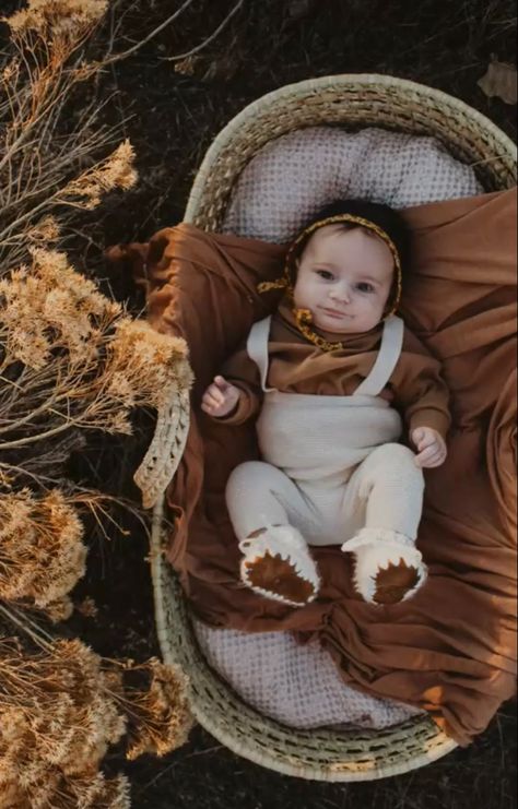 Wicker Bassinet Photography, Newborn Photo In Basket, Newborn Bassinet Photography, Newborn Moses Basket Photography, Baby Basket Photoshoot, Newborn Baby Photography Outdoor, Baby Autumn Photography, Moses Basket Photography, Fall Newborn Pictures