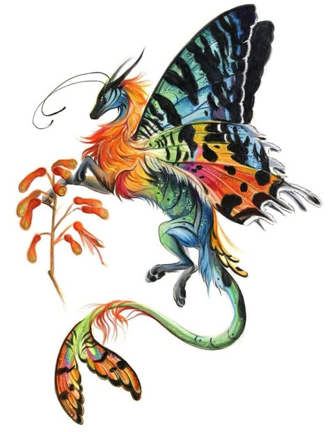 Moth Dragon, Madagascar Sunset Moth, Dragon Hybrid, Fierce Dragon, Sunset Moth, Butterfly Dragon, Christmas Dragon, Traditional Drawing, Mythical Dragons