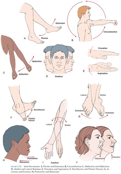 Movement Across the Joints Ulna Bone, The Shape, Moving Forward, Nursing, Quick Saves