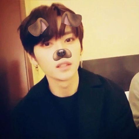 Hyunjin Dog Filter, Lee Know Pfp Icons, Leeknow Filter, Leeknow Pfp, Minho Stray Kids, Lee Know Icons, Minho Straykids, Stray Kids Icon, Dog Filter