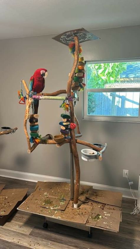 Bird Play Gym, Parrot Play Stand, Homemade Bird Toys, Diy Parrot Toys, Diy Parrot, Bird Diy, Bird Room, Diy Bird Toys, Parrot Stand