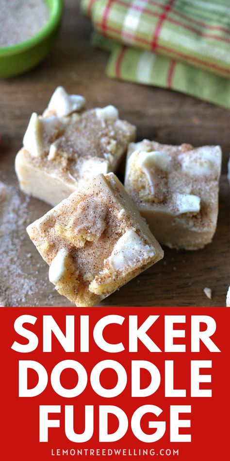 Snickerdoodle Fudge Easy, Snickerdoodle Fudge, Desert Box, Easy Fudge Recipe, Easy Fudge, Box Recipes, Homemade Goodies, Food Candy, Fudge Recipes Easy