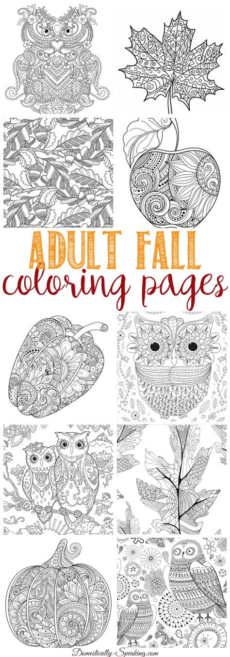 Fall Journal Printables, Fall Coloring Pages For Adults, Free Fall Coloring Pages, Fall Coloring, Adults Coloring, Detailed Coloring Pages, Coloring For Adults, Fall Coloring Pages, Coloring Pages For Adults