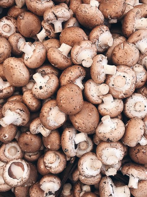 Did you know In France, Cremini mushrooms were cultivated in the catacombs beneath Paris leading to the moniker “champignons de Paris" or Paris mushrooms, and Cremini mushrooms are still cultivated underground in Western France today?!  We love getting these in the summer and fall to make some incredible dishes. What do you love to make with them? Western France, Food House, Cremini Mushrooms, The Catacombs, B Roll, House Photos, Motion Design Animation, Design Animation, Planting Vegetables