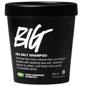 Big Shampoo Best Lush Products, Sea Salt Shampoo, Fresh Cosmetics, Grease Hairstyles, Limp Hair, Lush Products, Lush Cosmetics, Volumizing Shampoo, Vegan Beauty