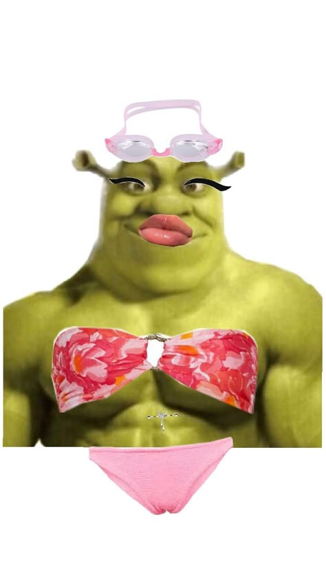 Sexy Shrek is ready for swimming lesson Funny Pix, Swim Lessons, Shrek, Me Core, So True, Get It, Hello Kitty, Funny Memes, Swimming