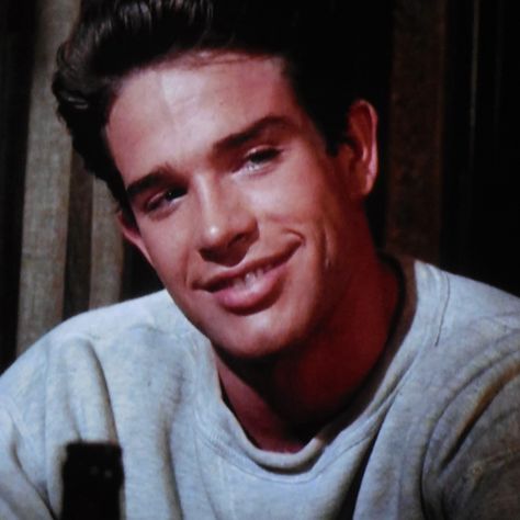 Warren Beatty as 'Bud Stamper'   1961 Warren Beatty 70s, Cute Blonde Guys, Richard Burton, Warren Beatty, Splendour In The Grass, Hollywood Men, Natalie Wood, Man Stuff, Blonde Guys