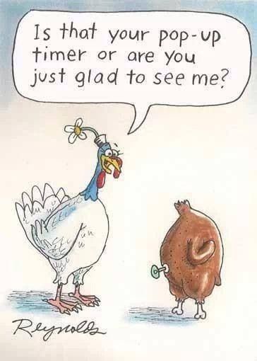 Thanksgiving humor Funny Thanksgiving Images, Happy Thanksgiving Memes, Funny Thanksgiving Pictures, Funny Thanksgiving Memes, Turkey Jokes, Thanksgiving Meme, Happy Thanksgiving Funny, Thanksgiving Quotes Funny, Thanksgiving Jokes