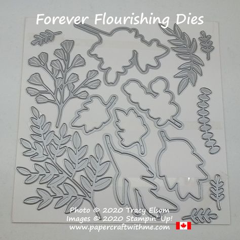 Forever Flourishing Dies from Stampin' Up! #papercraftwithme Forever Flourishing Dies, Stampin Up Dies, Blossom Branch, Crabapple Tree, Pink Cards, Specialty Paper, Embossing Folders, Centre Pieces, Stamping Up