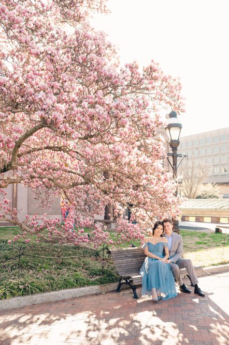 Asian brides. Pale blue engagement dress. What to wear for engagement session. Gray suits. Nancy + Luke celebrated their engagement under the romantic magnolia trees at the Enid A. Haupt Garden in front of the Smithsonian Castle. The magnolias bloom a few weeks before the cherry blossom in DC and it was the perfect setting for their dreamy engagement portraits! Fine art engagement photos. Best of DC. How to style an engagement session. Dc Cherry Blossom Engagement Photos, Cherry Blossom Engagement Photos, Blue Engagement Dress, Smithsonian Castle, Art Engagement Photos, Cherry Blossom Dc, Nyc Couple, Cherry Blossom Engagement, Magnolia Garden