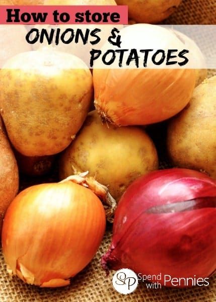 How to Store Onions, Garlic Storing Onions And Potatoes, Store Onions, Storing Onions, How To Store Potatoes, Garlic Potatoes, Spend With Pennies, How To Store, Food Preservation, Food Tips