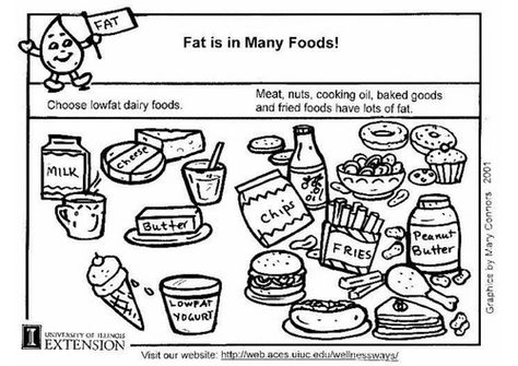 Fat Food Group Colouring Pages Fried Butter, Fats And Oils, Fat Food, Fat Foods, Milk And Cheese, Food Group, No Dairy Recipes, Group Meals, Fried Food