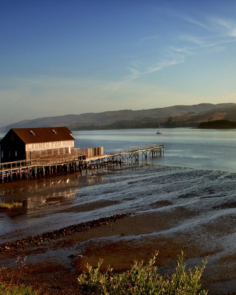 Walk past the first beach, up the little winding path over a hill, then to the second beach facing Tomales Bay. Wade a little. Take a nap. Eat the Heat's Desire sandwiches you picked up at Perry's Inverness Park Grocery on the way over.    - Esquire.com Inverness California, Tomales Bay, Winding Path, Shell Beach, A Hill, Inverness, Take A Nap, Weekend Trips, Pilgrimage