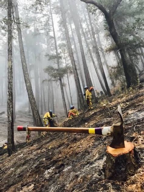 Forestry Aesthetic, Ranger Aesthetic, Arborist Gear, Firefighter Images, Fire Department Photography, Firefighter In Action, Forest Firefighter, Wild Land Firefighter, Wildland Firefighter Art