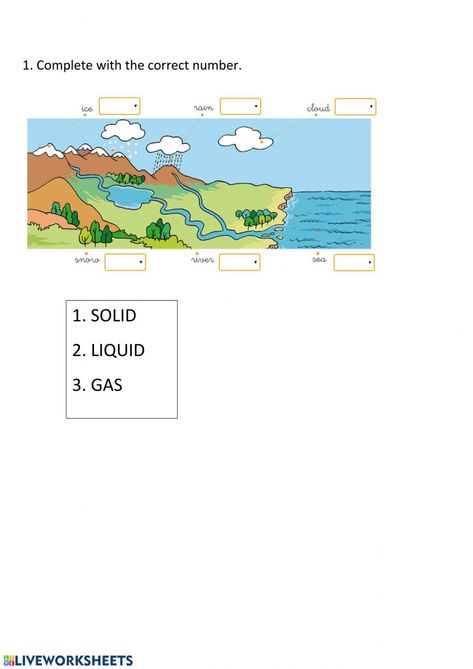 The three forms of water - Interactive worksheet Water Chart, Water Worksheet, Forgot My Password, Water Activities, School Subjects, Online Workouts, Google Classroom, Science And Nature, You Can Do