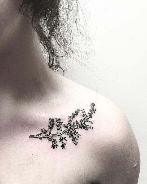 Juniper branch for @nnnnorah  If you would like one of a kind work done, don't… Juniper Tattoo, Mother Nature Tattoo, Juniper Branch, Nature Tattoo Ideas, Mother Nature Tattoos, Engraving Tattoo, M Tattoos, Worlds Best Tattoos, Branch Tattoo