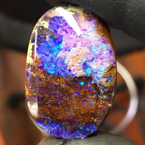 Opalized Petrified Wood, also known as Wood Opal Diffraction Of Light, Sequoia Tree, Precious Opal, Wood Structure, Wood Fiber, Organic Matter, Rock Hounding, Petrified Wood, Art Tips