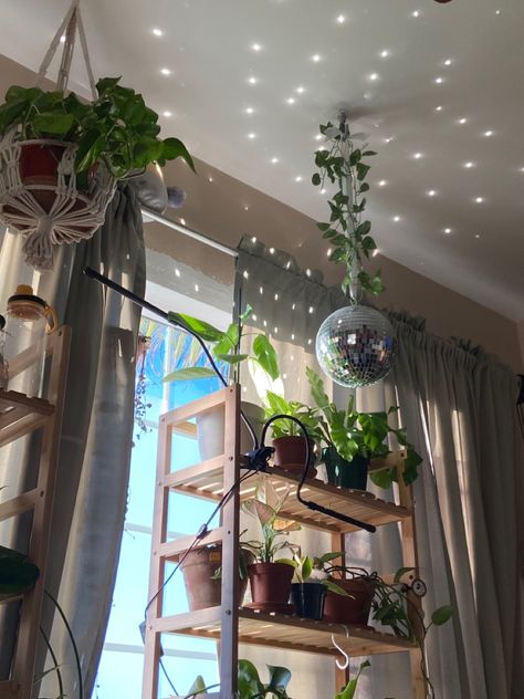 Disco Ball Plant Aesthetic, Disco Ball In Living Room, Small Room Inspo, Loft Aesthetic, Disco Ball Decor, Apartment Deco, Condo Decor, Corner Plant, Uni Room