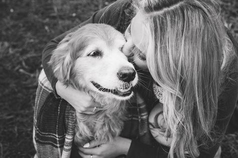 Family Pet Photography, Pet Photography Studio, Pet Magazine, Harry Shum Jr, Animal Photoshoot, Dog Photoshoot, Pet Photographer, Old Dogs, Senior Dog