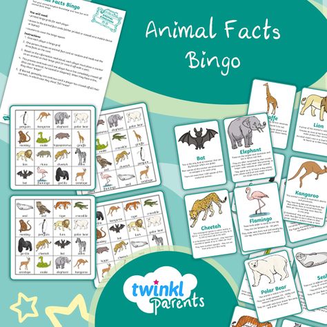 Do you know what a baby kangaroo is called? Brush up on your animal knowledge with our fun bingo cards. This printable game is a fun way to learn about different animals and learn new vocabulary.  #TwinklSummer #TwinklParents World Animal Day Activities, Animal Knowledge, Fun Animal Facts, Summer Holiday Activities, World Animal Day, Baby Kangaroo, Animal Day, Fun Facts About Animals, Different Animals