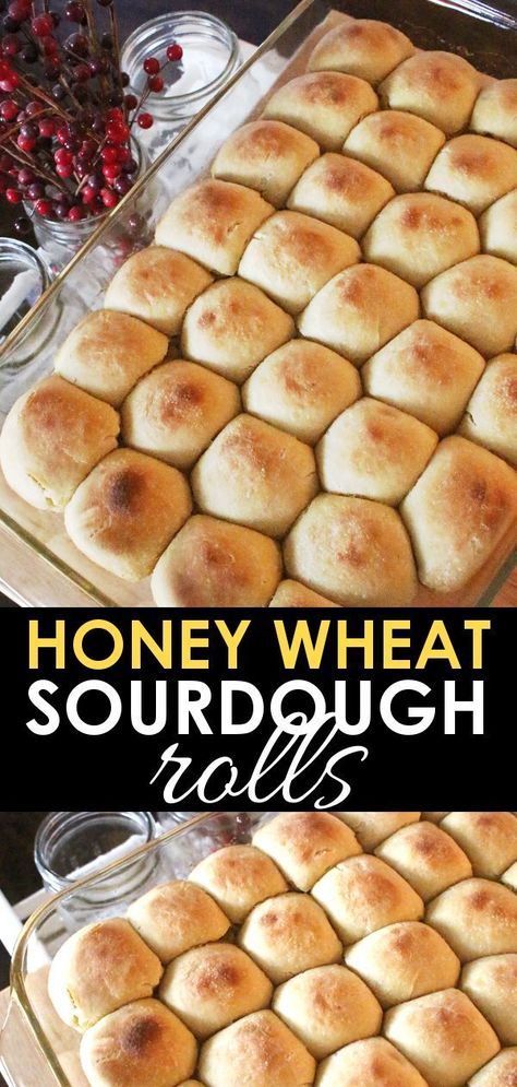 Einkorn Sourdough, Wheat Rolls, Sourdough Breads, Sourdough Rolls, Einkorn Recipes, Natural Yeast, Sourdough Bread Starter, Diet Cookies, Einkorn Flour