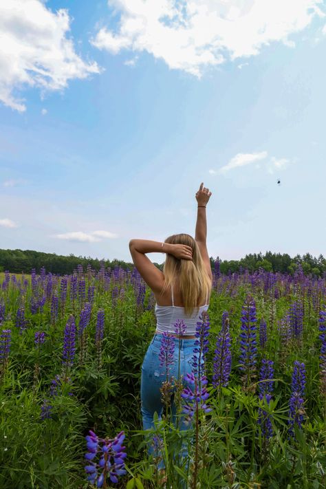 Purple Flower Photoshoot, Lupine Photoshoot, Flower Feild Pics Aesthetic, Lupine Flowers, Flower Photoshoot, Senior Photo Poses, Summer Holiday, Birthday Photoshoot, Flower Field