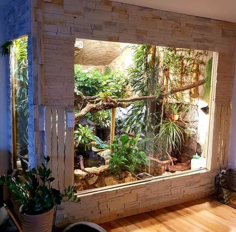 Green Tree Monitor Enclosure, Bearded Dragon Terrarium, Snake Terrarium, Snake Enclosure, Gecko Terrarium, Aquarium Terrarium, Reptile House, Fish Tank Terrarium, Reptile Terrarium