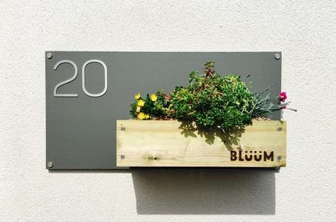 Green Roof Garden Products – Bluum Stores Green Roof Garden, Outdoor Storage Units, Contemporary Fonts, Living Roofs, Alpine Plants, Landscape Orientation, Bristol Uk, Bike Shed, House Number Sign