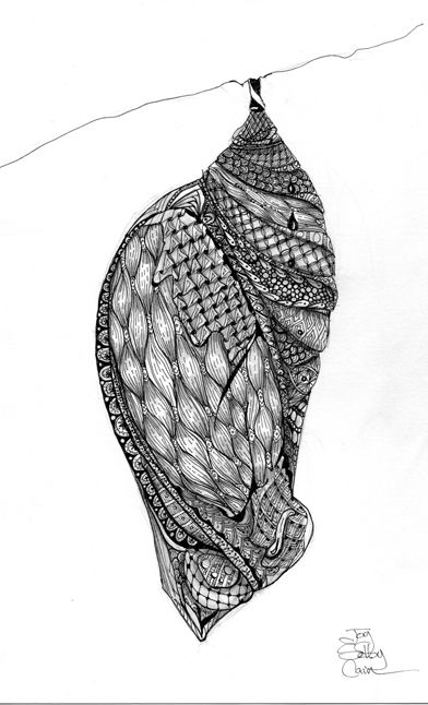 Butterfly Cocoon, Metamorphosis Art, Butterfly Metamorphosis, Butterfly Chrysalis, Philadelphia Art, Insect Tattoo, Flame Tattoos, Baby Drawing, Fall Tablescapes