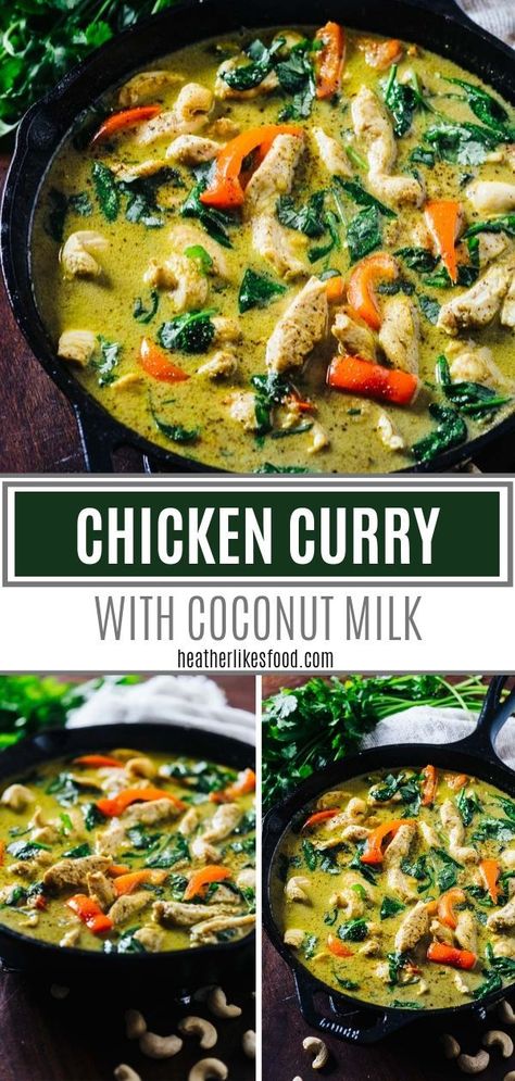 Curry Recipes Chicken, Best Healthy Soup, Chicken Curry With Coconut Milk, Best Ever Chicken, Bisque Soup Recipes, Curry With Coconut Milk, Yellow Curry, Coconut Milk Recipes, Back Bone